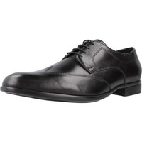 Obuća Muškarci
 Derby cipele & Oksfordice Geox U IACOPO Crna