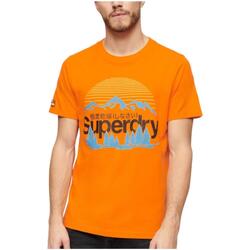 Odjeća Muškarci
 Majice kratkih rukava Superdry  Narančasta