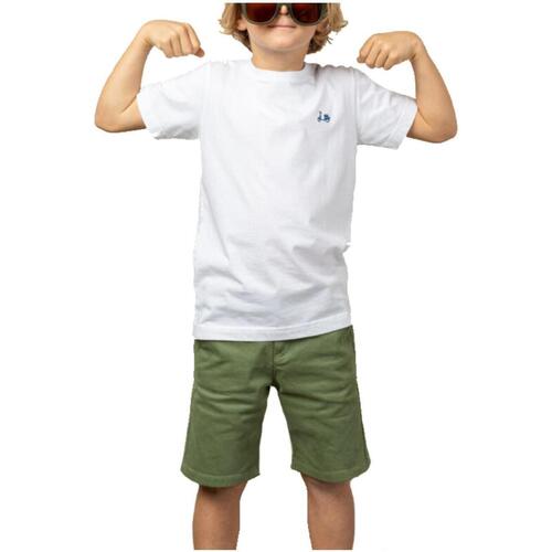 Odjeća Dječak
 Majice kratkih rukava Scotta  Bijela