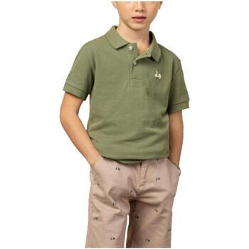 Odjeća Dječak
 Majice kratkih rukava Scotta  Zelena