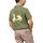 Odjeća Dječak
 Majice kratkih rukava Scotta  Zelena