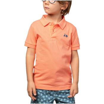 Odjeća Dječak
 Majice kratkih rukava Scotta  Narančasta