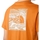 Odjeća Muškarci
 Majice / Polo majice The North Face Redbox Celebration T-Shirt - Desert Rust Narančasta