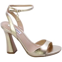 Obuća Žene
 Sandale i polusandale Steve Madden 91133 Other