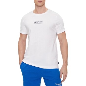 Odjeća Muškarci
 Polo majice dugih rukava Tommy Hilfiger MW0MW34387 Bijela