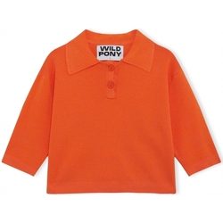 Odjeća Žene
 Puloveri Wild Pony Knit 10604 - Orange Narančasta