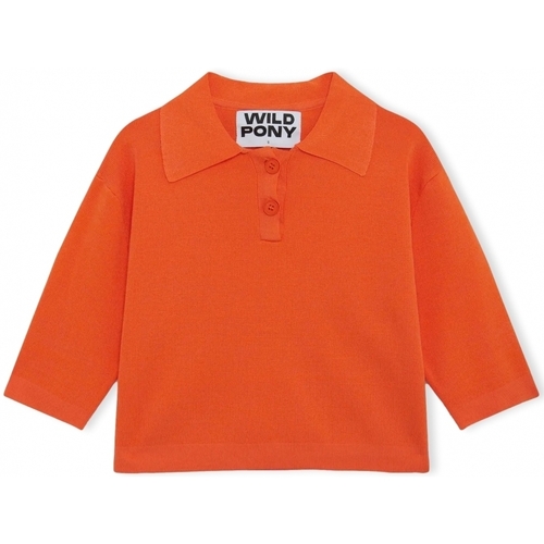 Odjeća Žene
 Puloveri Wild Pony Knit 10604 - Orange Narančasta