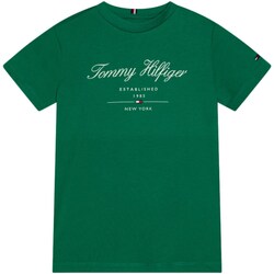 Odjeća Dječak
 Majice dugih rukava Tommy Hilfiger KB0KB08803 Zelena
