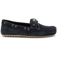Obuća Muškarci
 Derby cipele & Oksfordice Frau 31B2 CASTORO Plava
