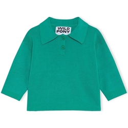 Odjeća Žene
 Puloveri Wild Pony Knit 10603 - Green Zelena