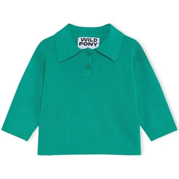 Odjeća Žene
 Puloveri Wild Pony Knit 10603 - Green Zelena