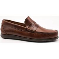Obuća Muškarci
 Derby cipele & Oksfordice Pielsa  Smeđa