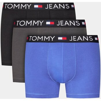 Tommy Jeans UM0UM03159 Višebojna