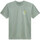 Odjeća Muškarci
 Majice / Polo majice Vans Classic mini dual palm Zelena