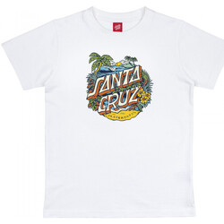Odjeća Dječak
 Majice / Polo majice Santa Cruz Youth aloha dot front Bijela