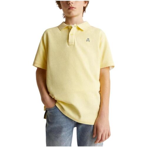 Odjeća Dječak
 Majice kratkih rukava Scalpers  žuta