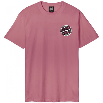 Odjeća Muškarci
 Majice / Polo majice Santa Cruz Dressen rose crew one Ružičasta