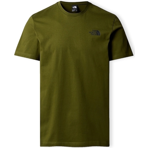 Odjeća Muškarci
 Majice / Polo majice The North Face Redbox Celebration T-Shirt - Forest Olive Zelena