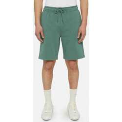 Odjeća Muškarci
 Bermude i kratke hlače Dickies Mapleton short Zelena