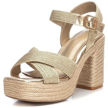 Xti 142741 Gold