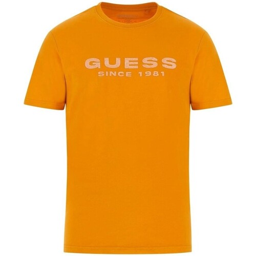 Odjeća Muškarci
 Majice kratkih rukava Guess  Višebojna