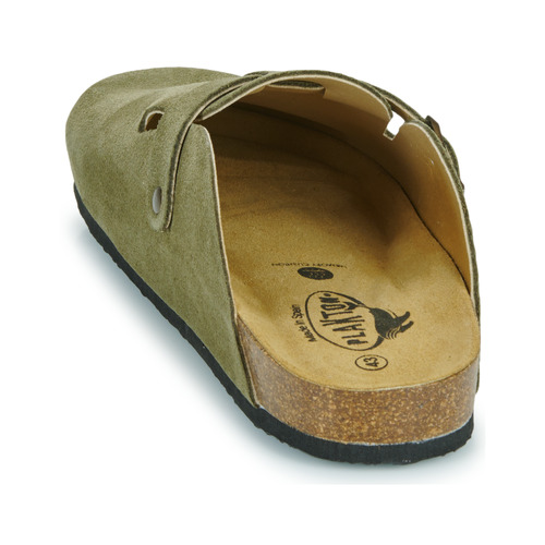 Plakton BLOG AFELPADO Kaki