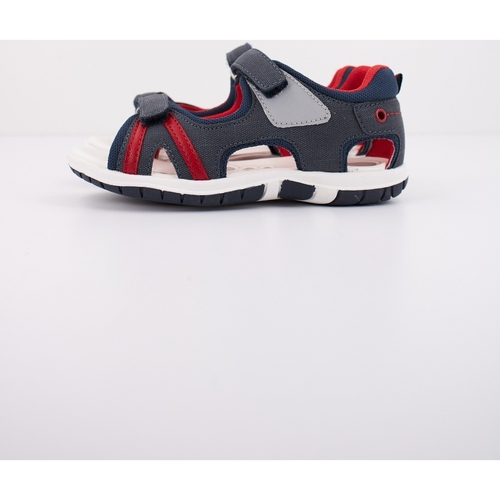 Chicco FORREST Plava
