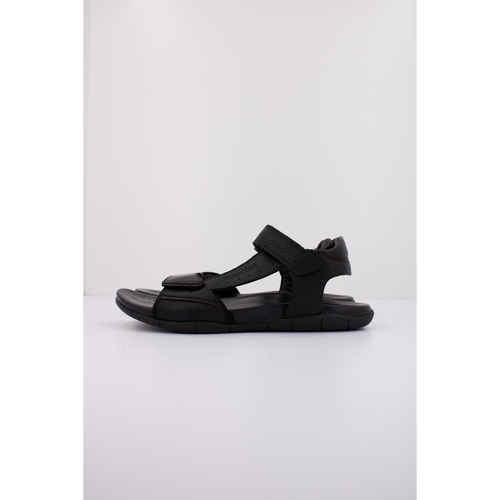 Kangaroos K521 Crna