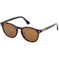 Satovi & nakit Sunčane naočale Web Eyewear Occhiali da Sole Web WE0328/S 56E Smeđa