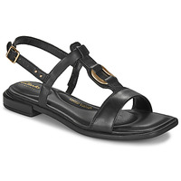 Obuća Žene
 Sandale i polusandale Clarks ARIANY SLING Crna