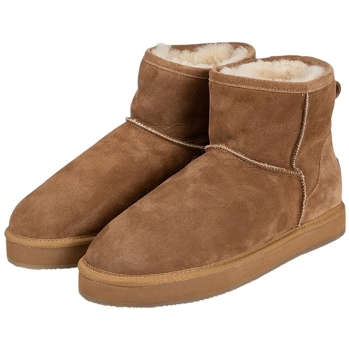Shepherd PARIS  056-CHESNUT 2422 Smeđa