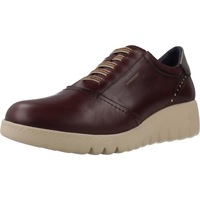 Obuća Žene
 Modne tenisice Fluchos F2096 Bordo