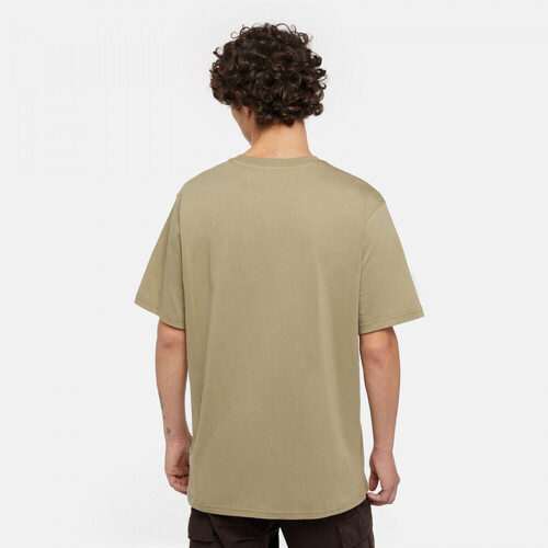 Dickies Ss mapleton tee Zelena