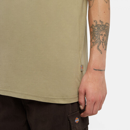 Dickies Ss mapleton tee Zelena