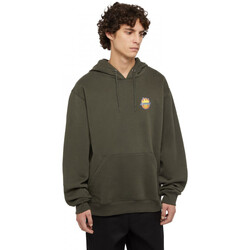 Odjeća Muškarci
 Sportske majice Dickies x spitfire hoodie Zelena