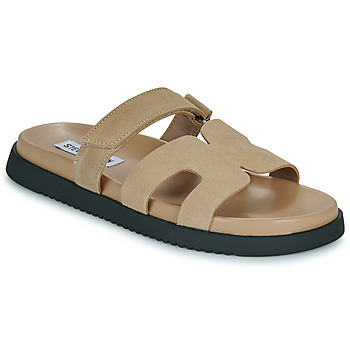 Obuća Žene
 Natikače Steve Madden MISSILE Taupe