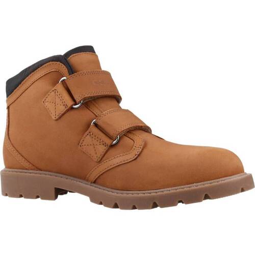 Geox J SHAYLAX BOY WPF Smeđa
