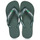 Obuća Japanke Havaianas BRASIL LOGO Kaki