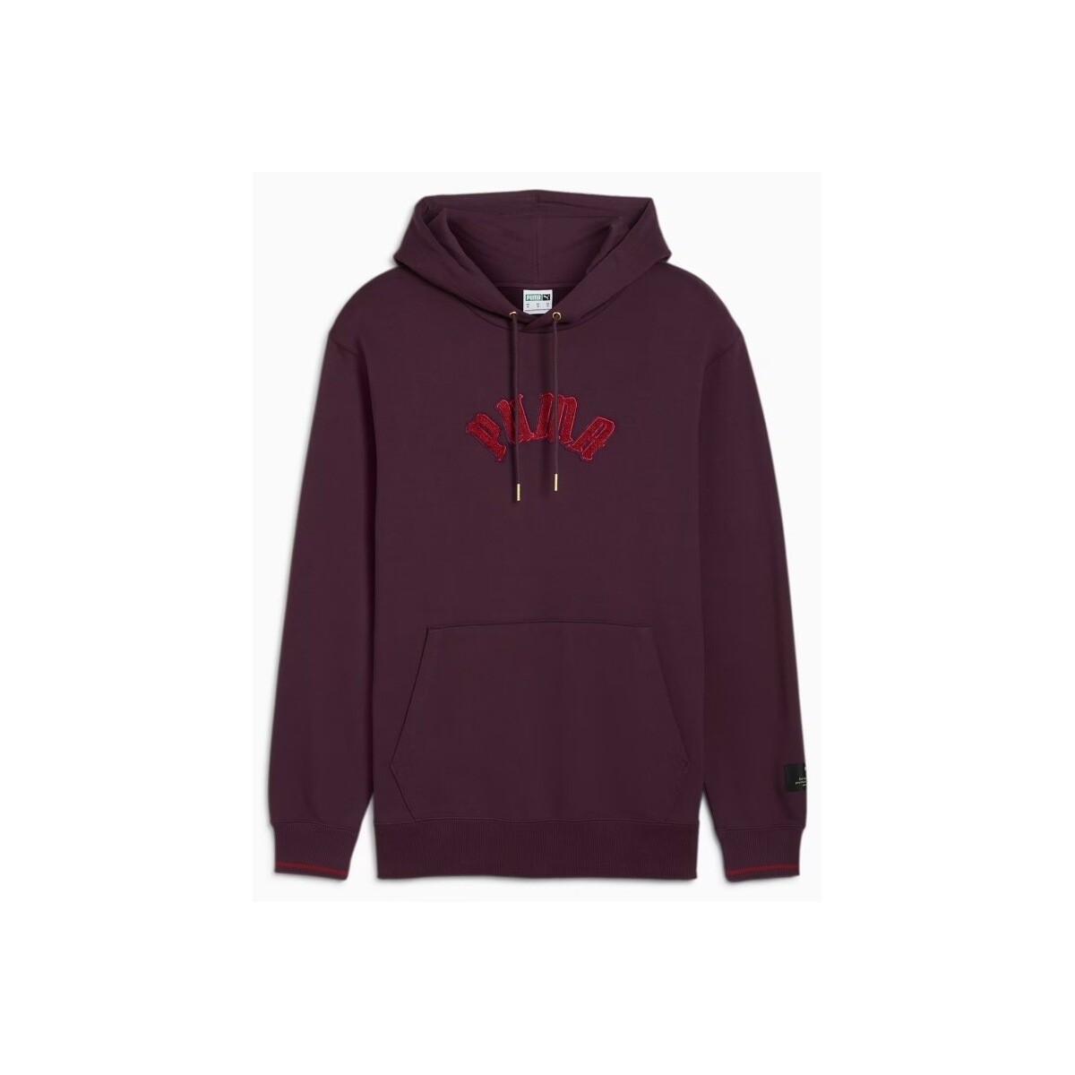 Odjeća Muškarci
 Sportske majice Puma CLASSICS PLAY PARIS HOODIE Ljubičasta
