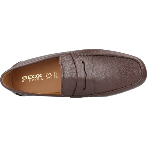 Geox U KOSMOPOLIS + GRIP Smeđa