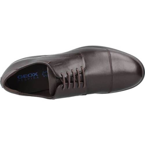 Geox U SPHERICA EC11 Smeđa