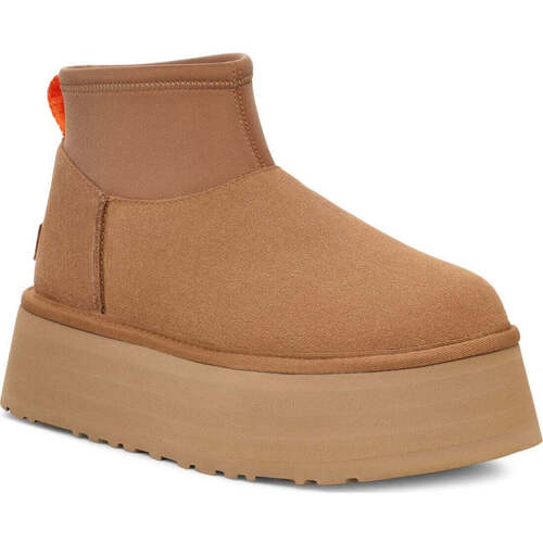 Obuća Žene
 Gležnjače UGG  Smeđa