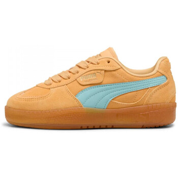 Obuća Žene
 Modne tenisice Puma Palermo moda xtra gum wns Narančasta