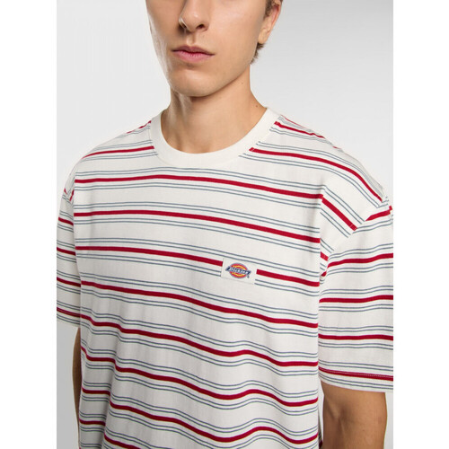 Dickies Lewistown stripe ss tee Bijela