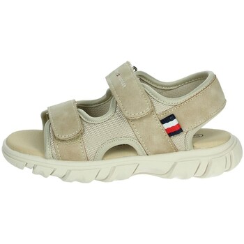 Obuća Dječak
 Sandale i polusandale Tommy Hilfiger T1B2-33898-1591 Bež