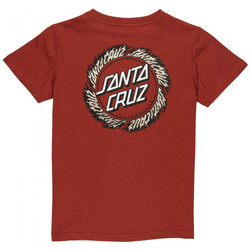 Odjeća Dječak
 Majice / Polo majice Santa Cruz Youth flame ringed dot t-shirt Narančasta