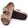 Obuća Žene
 Sandale i polusandale BIRKENSTOCK JAPANKE  ARIZONA BIG BUCKLE Bež