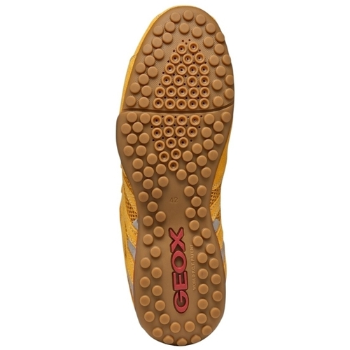 Geox U SNAKE ORIGINAL C2112-OCHRE Jaune žuta