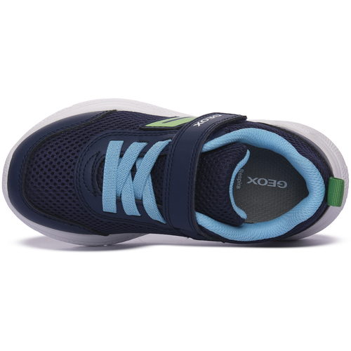 Geox CF43U SPRIBTYE Plava