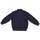 Odjeća Dječak
 Kratke jakne Save The Duck J31163X WIND20 Plava